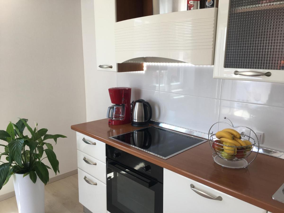 Apartments Roberta Novigrad Istria Exterior foto