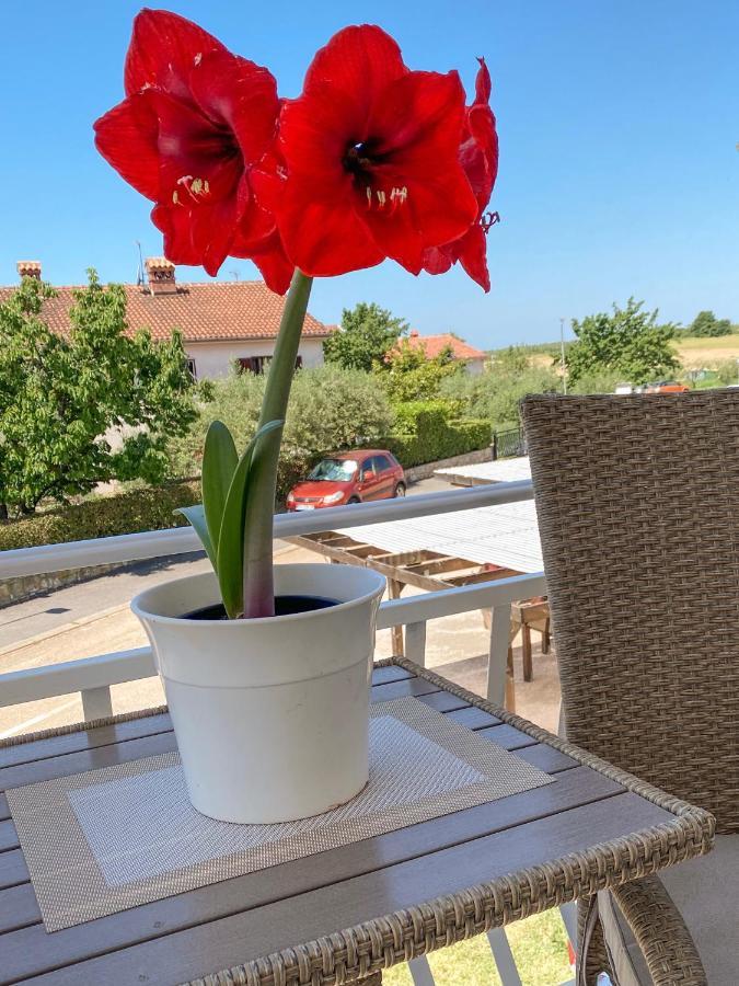 Apartments Roberta Novigrad Istria Exterior foto